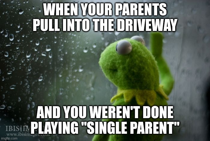 True | WHEN YOUR PARENTS PULL INTO THE DRIVEWAY; AND YOU WEREN'T DONE PLAYING "SINGLE PARENT" | image tagged in kermit window | made w/ Imgflip meme maker
