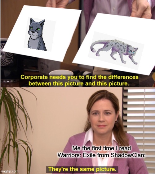Same name, different Clans. |  Me the first time I read Warriors: Exile from ShadowClan: | image tagged in memes,they're the same picture,warrior cats | made w/ Imgflip meme maker