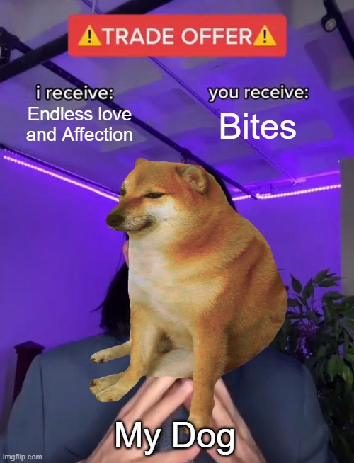 Dogs be like | Endless love and Affection; Bites; My Dog | image tagged in doge | made w/ Imgflip meme maker