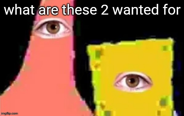 [undefined] | what are these 2 wanted for | image tagged in undefined | made w/ Imgflip meme maker