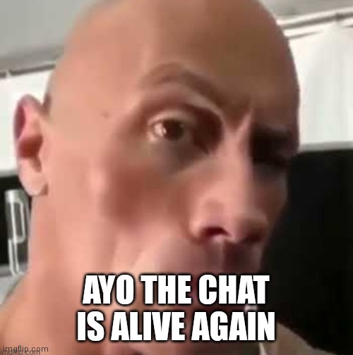 Told you it'd revive when the American users arrive | AYO THE CHAT IS ALIVE AGAIN | image tagged in ayo that's kind of sus ngl | made w/ Imgflip meme maker