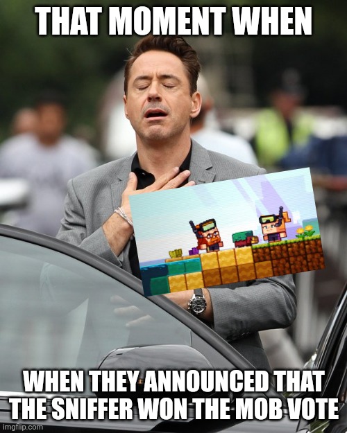 Can't wait for the new blocks... BAMBOO WOOD LOOKS SO COOL!!! | THAT MOMENT WHEN; WHEN THEY ANNOUNCED THAT THE SNIFFER WON THE MOB VOTE | image tagged in relief | made w/ Imgflip meme maker