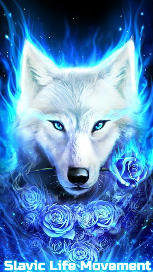 sPIRT WOLF | Slavic Life Movement | image tagged in spirt wolf,slavic life movement,slavic,slm | made w/ Imgflip meme maker