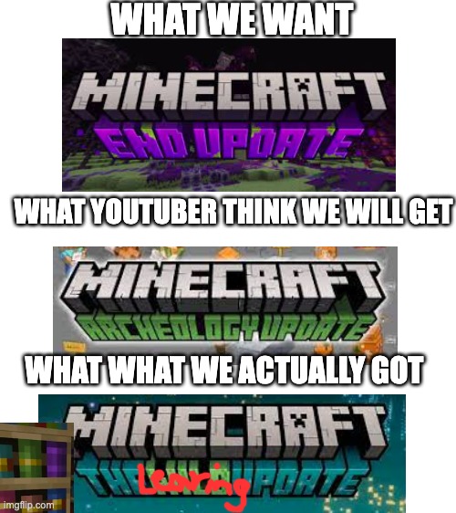 nooooo | WHAT WE WANT; WHAT YOUTUBER THINK WE WILL GET; WHAT WHAT WE ACTUALLY GOT | image tagged in blank white template | made w/ Imgflip meme maker