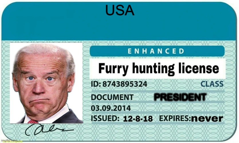 Joe???? | USA; PRESIDENT | image tagged in furry hunting license | made w/ Imgflip meme maker