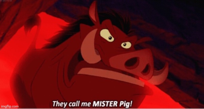 Best Caption wins Ep 1 S5 | image tagged in pumbaa mad | made w/ Imgflip meme maker