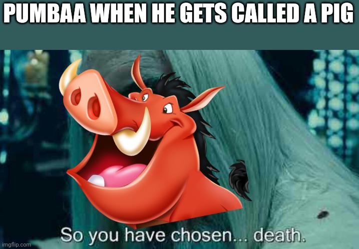 THEY CALL ME, MR PIG! | PUMBAA WHEN HE GETS CALLED A PIG | image tagged in so you have chosen death | made w/ Imgflip meme maker