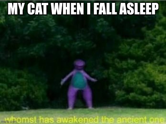 Whomst has awakened the ancient one | MY CAT WHEN I FALL ASLEEP | image tagged in whomst has awakened the ancient one | made w/ Imgflip meme maker