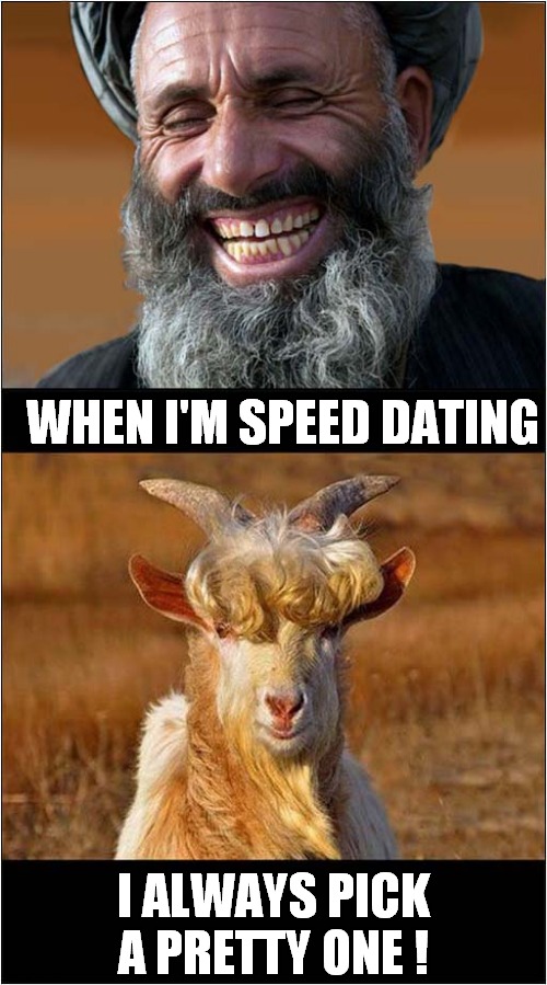 How Romantic ? | WHEN I'M SPEED DATING; I ALWAYS PICK A PRETTY ONE ! | image tagged in speed dating,goats,dark humour | made w/ Imgflip meme maker
