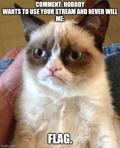 Imgflip is for good people not assholes. | COMMENT: NOBODY WANTS TO USE YOUR STREAM AND NEVER WILL
ME:; FLAG. | image tagged in memes,grumpy cat | made w/ Imgflip meme maker