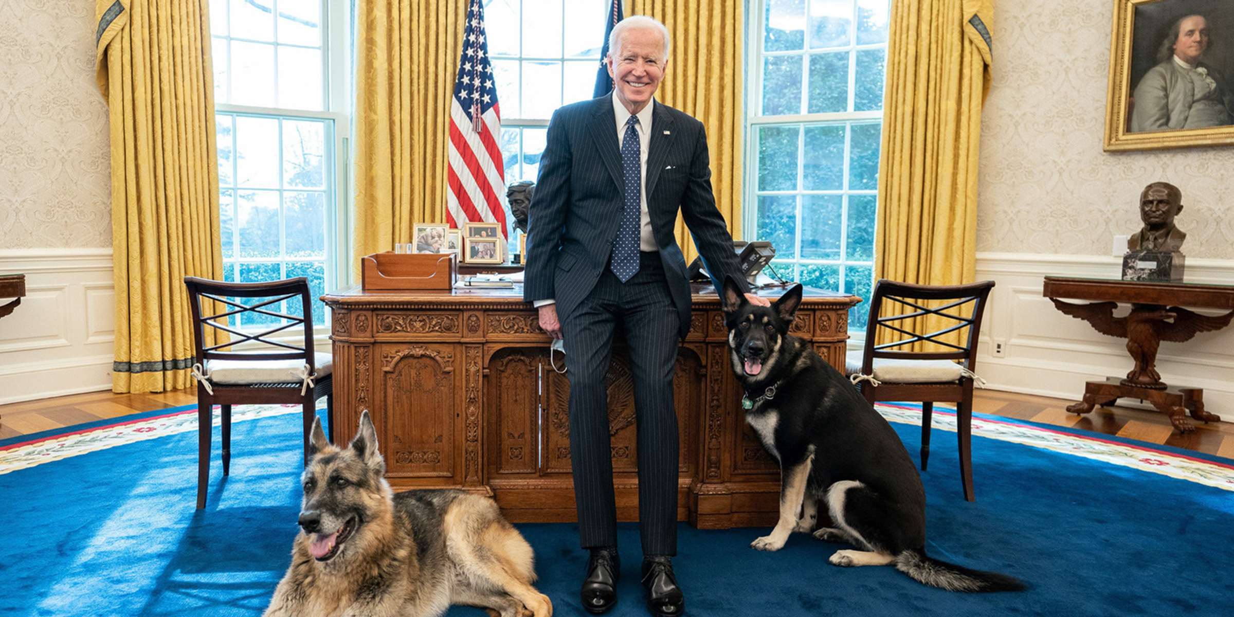 Biden and Dogs Blank Meme Template