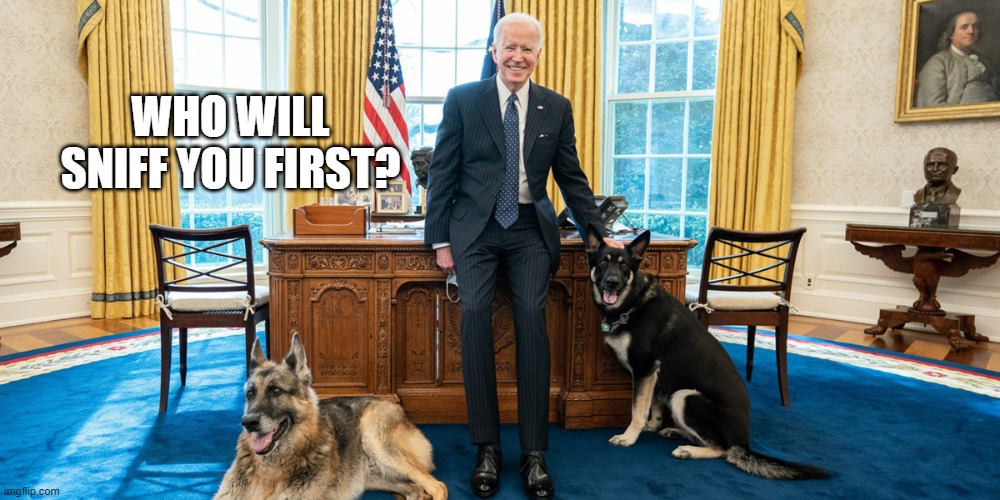 Biden and Dogs | WHO WILL SNIFF YOU FIRST? | image tagged in biden and dogs | made w/ Imgflip meme maker