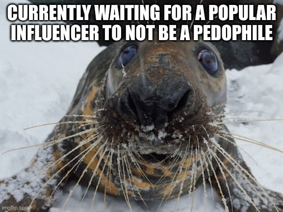 his name's bim bim | CURRENTLY WAITING FOR A POPULAR INFLUENCER TO NOT BE A PEDOPHILE | image tagged in his name's bim bim | made w/ Imgflip meme maker
