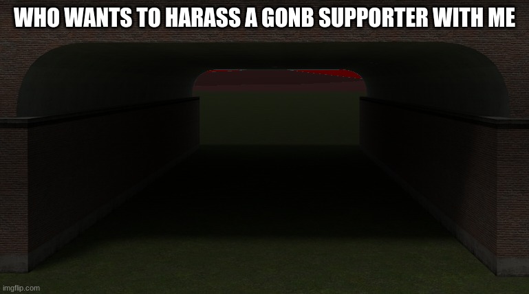 Fight Or Flight (G-Mix) Background | WHO WANTS TO HARASS A GONB SUPPORTER WITH ME | image tagged in fight or flight g-mix background | made w/ Imgflip meme maker