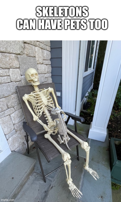This is for you Iceu | SKELETONS CAN HAVE PETS TOO | image tagged in iceu,waiting skeleton,halloween,funny,memes,funny memes | made w/ Imgflip meme maker