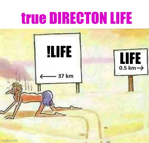 True DIRECTON LIFE (TDL) | true DIRECTON LIFE; LIFE; !LIFE | image tagged in lost in the desert | made w/ Imgflip meme maker
