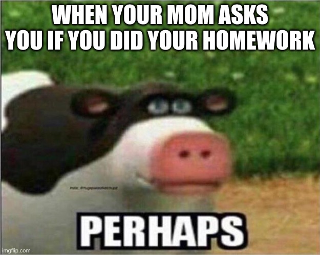 Perhaps Cow | WHEN YOUR MOM ASKS YOU IF YOU DID YOUR HOMEWORK | image tagged in perhaps cow | made w/ Imgflip meme maker