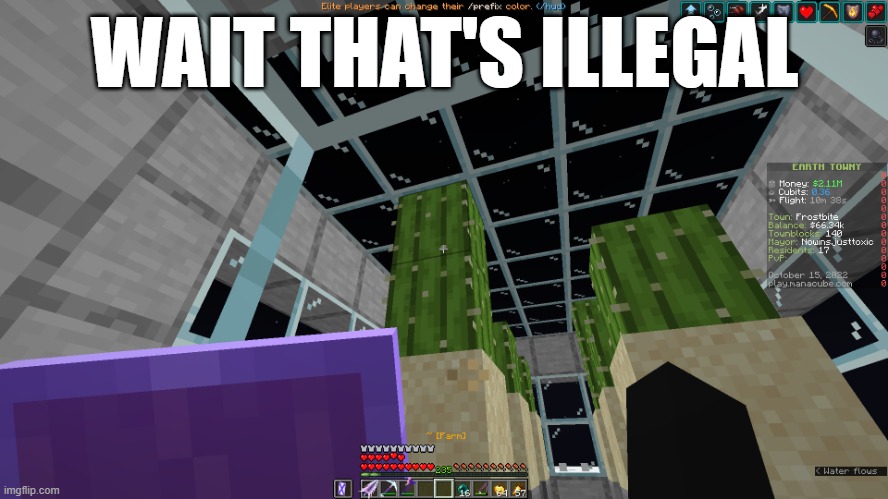 hol up | WAIT THAT'S ILLEGAL | image tagged in minecraft,gaming,pc gaming | made w/ Imgflip meme maker