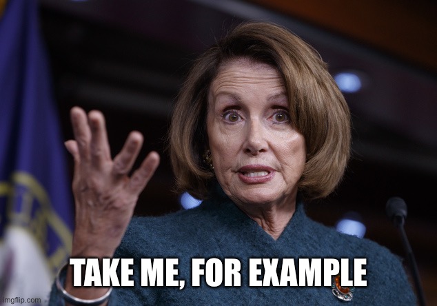 Good old Nancy Pelosi | TAKE ME, FOR EXAMPLE | image tagged in good old nancy pelosi | made w/ Imgflip meme maker