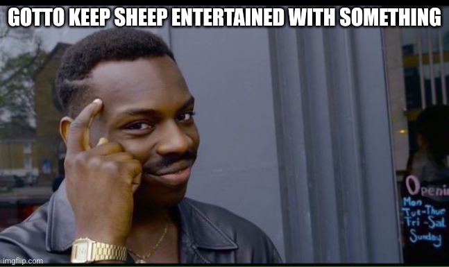 common sense | GOTTO KEEP SHEEP ENTERTAINED WITH SOMETHING | image tagged in common sense | made w/ Imgflip meme maker