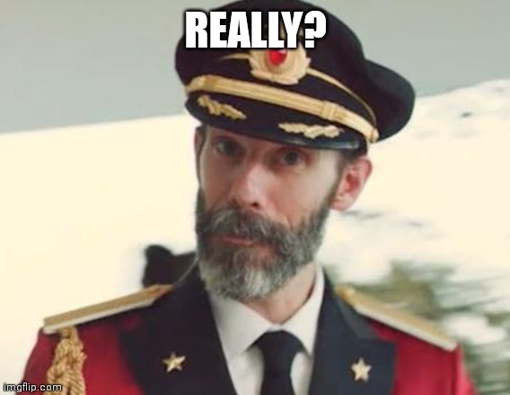 Captain Obvious | REALLY? | image tagged in captain obvious | made w/ Imgflip meme maker