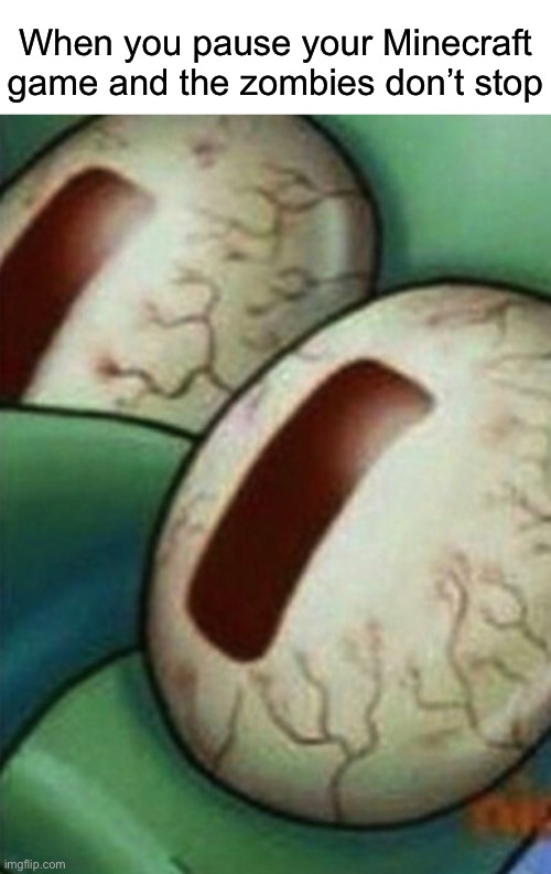 When you pause your Minecraft game and the zombies don’t stop | made w/ Imgflip meme maker