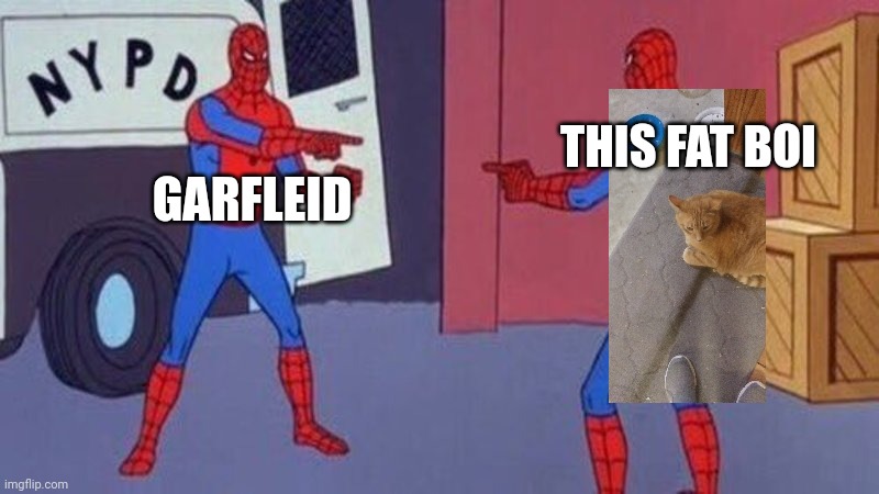 Hehe | THIS FAT BOI; GARFLEID | image tagged in spiderman pointing at spiderman | made w/ Imgflip meme maker
