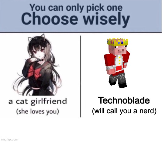 Choose wisely | Technoblade; (will call you a nerd) | image tagged in choose wisely | made w/ Imgflip meme maker