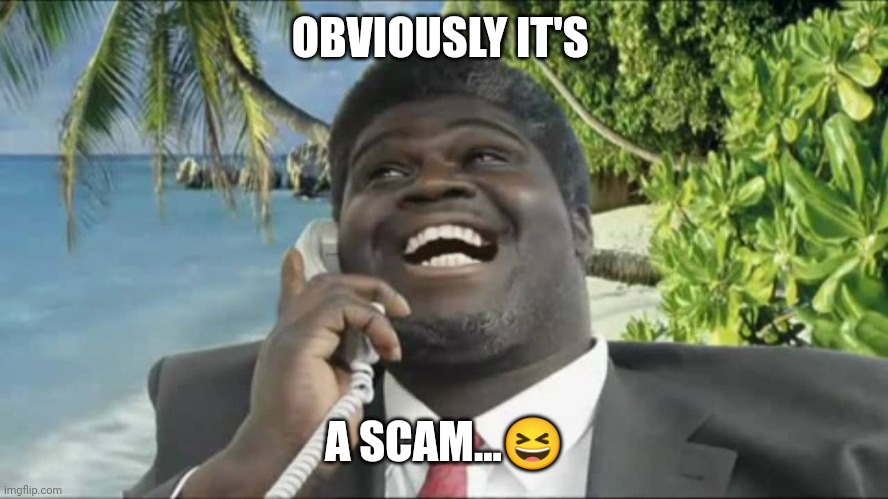 African scam guy | OBVIOUSLY IT'S; A SCAM...😆 | image tagged in african scam guy | made w/ Imgflip meme maker