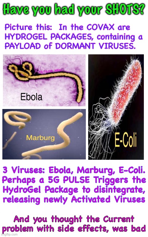 December 2021, I memed about Binary Weapons.  Here are more of the particulars | Picture this:  In the COVAX are
HYDROGEL PACKAGES, containing a
PAYLOAD of DORMANT VIRUSES. Have you had your SHOTS? 10/15/22  MRA; 3 Viruses: Ebola, Marburg, E-Coli.
Perhaps a 5G PULSE Triggers the
HydroGel Package to disintegrate,
releasing newly Activated Viruses; And you thought the Current
problem with side effects, was bad | image tagged in memes,e coli ebola hemorrhagic fever,maybe detonate before the election,ensure only mail in cheating,fjb voters | made w/ Imgflip meme maker