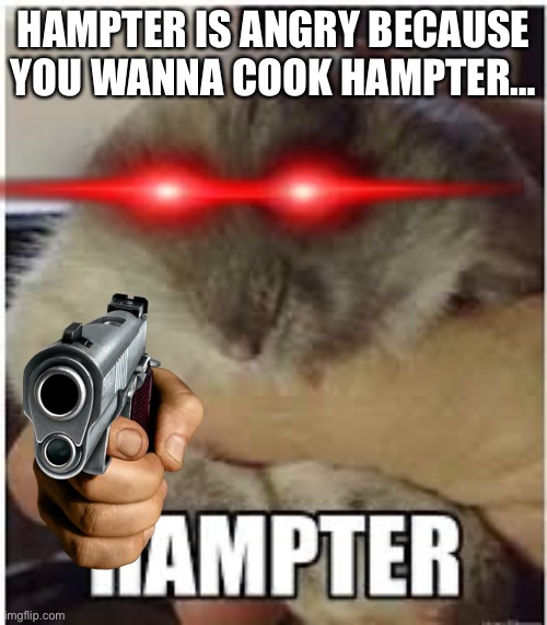 Stop cooking hampter, is not good it is animal abuŠ3. | HAMPTER IS ANGRY BECAUSE YOU WANNA COOK HAMPTER… | image tagged in hampter | made w/ Imgflip meme maker
