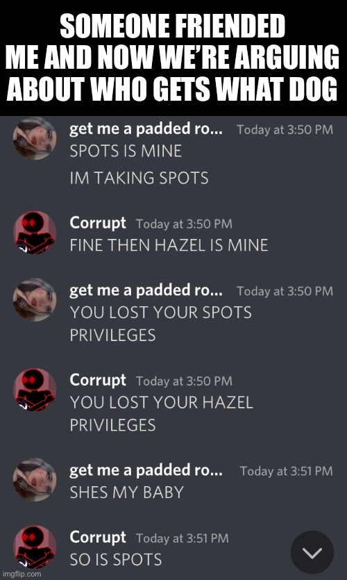 SOMEONE FRIENDED ME AND NOW WE’RE ARGUING ABOUT WHO GETS WHAT DOG | made w/ Imgflip meme maker