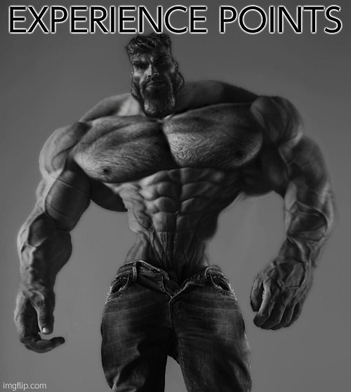 GigaChad | EXPERIENCE POINTS | image tagged in gigachad | made w/ Imgflip meme maker