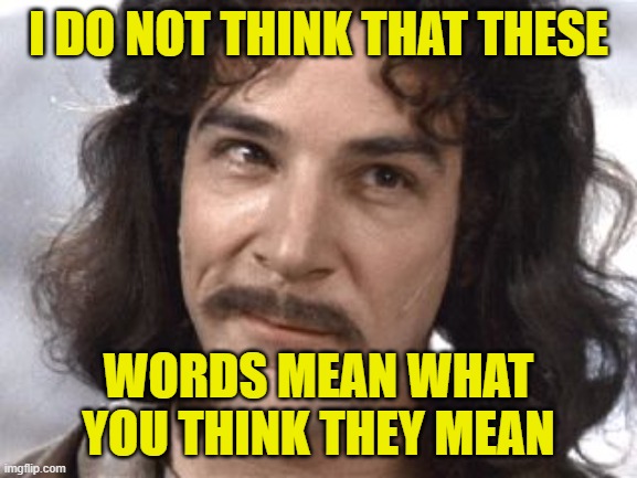 I Do Not Think That Means What You Think It Means | I DO NOT THINK THAT THESE WORDS MEAN WHAT YOU THINK THEY MEAN | image tagged in i do not think that means what you think it means | made w/ Imgflip meme maker