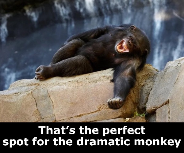 That’s the perfect spot for the dramatic monkey | made w/ Imgflip meme maker