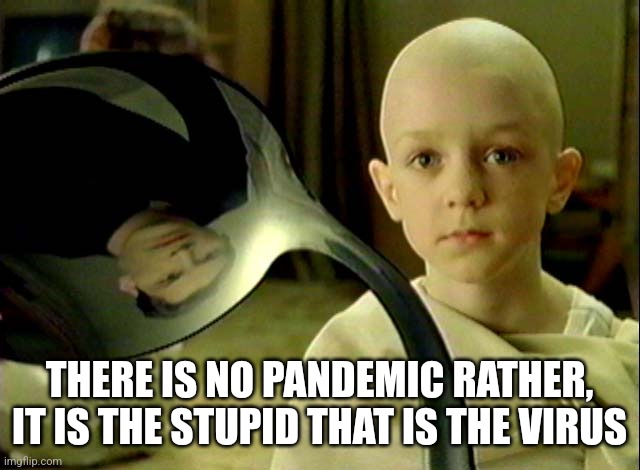 Matrix There is no spoon boy | THERE IS NO PANDEMIC RATHER, IT IS THE STUPID THAT IS THE VIRUS | image tagged in matrix there is no spoon boy | made w/ Imgflip meme maker