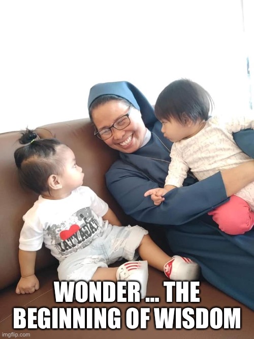 Wonder | WONDER … THE BEGINNING OF WISDOM | image tagged in this one sparks joy | made w/ Imgflip meme maker
