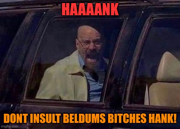 Walter White Screaming At Hank | HAAAANK DONT INSULT BELDUMS BITCHES HANK! | image tagged in walter white screaming at hank | made w/ Imgflip meme maker