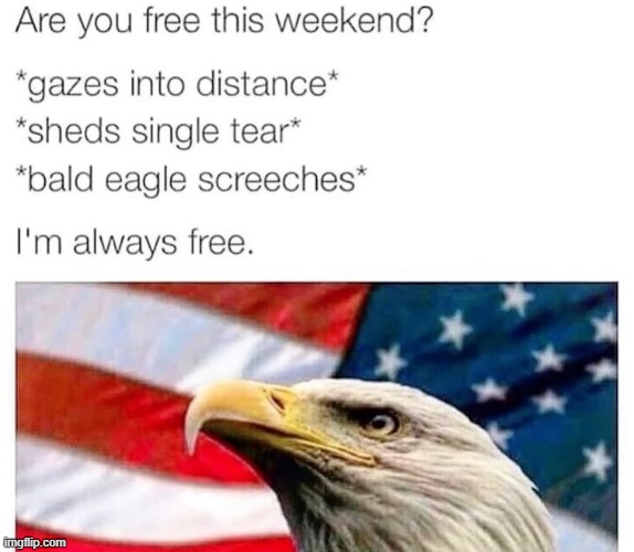 americaphilia | image tagged in rmk,americaphilia | made w/ Imgflip meme maker
