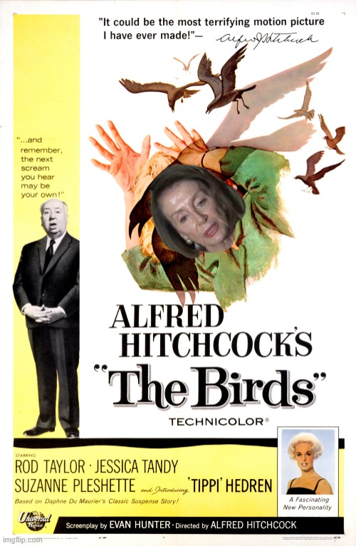 I wish this would Happen to her. LOL | image tagged in california,nancy pelosi,liberals | made w/ Imgflip meme maker
