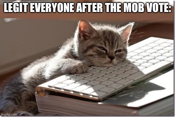 It’s calm… too calm | LEGIT EVERYONE AFTER THE MOB VOTE: | image tagged in bored keyboard cat,minecraft,bored,calm down | made w/ Imgflip meme maker