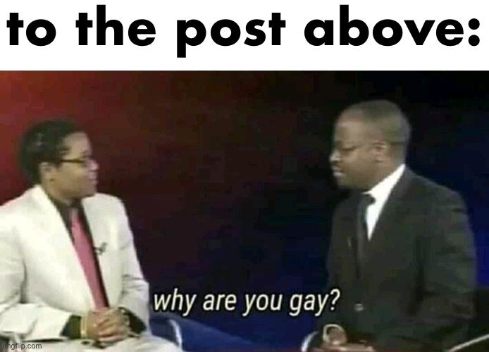 Why are you gay? | to the post above: | image tagged in why are you gay | made w/ Imgflip meme maker