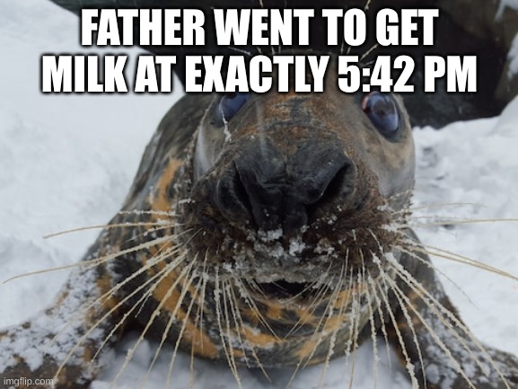 The shit I'm making rn- | FATHER WENT TO GET MILK AT EXACTLY 5:42 PM | image tagged in his name's bim bim | made w/ Imgflip meme maker