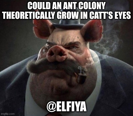 hyper realistic picture of a smartly dressed pig smoking a pipe | COULD AN ANT COLONY THEORETICALLY GROW IN CATT'S EYES; @ELFIYA | image tagged in hyper realistic picture of a smartly dressed pig smoking a pipe | made w/ Imgflip meme maker