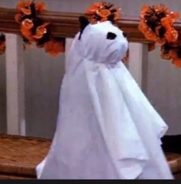 salem halloween Blank Meme Template