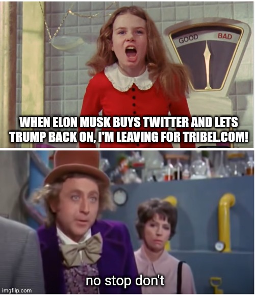 I hear THEY don't let white supremacists on their platform | WHEN ELON MUSK BUYS TWITTER AND LETS TRUMP BACK ON, I'M LEAVING FOR TRIBEL.COM! no stop don't | image tagged in wonka veruca salt stop dont | made w/ Imgflip meme maker