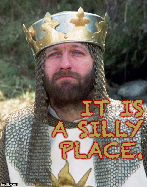 IT IS A SILLY PLACE. | made w/ Imgflip meme maker