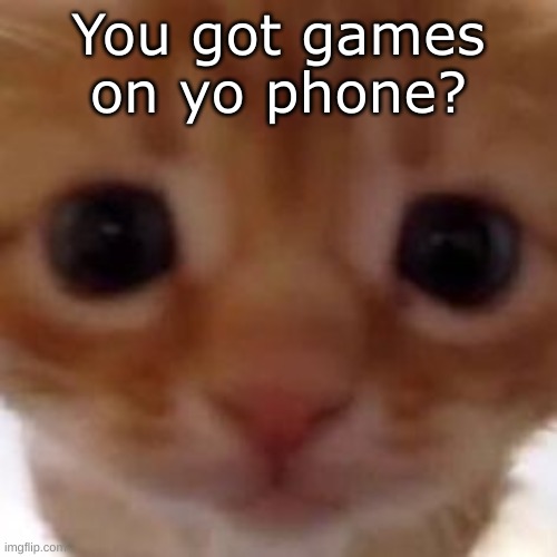 cat staring at you | You got games on yo phone? | image tagged in cat staring at you | made w/ Imgflip meme maker