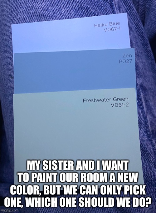 MY SISTER AND I WANT TO PAINT OUR ROOM A NEW COLOR, BUT WE CAN ONLY PICK ONE, WHICH ONE SHOULD WE DO? | image tagged in paint | made w/ Imgflip meme maker