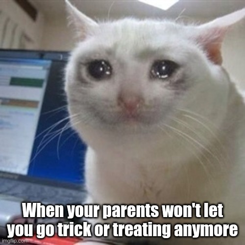 parents say i'm too old for trick or treating | When your parents won't let you go trick or treating anymore | image tagged in crying cat,halloween | made w/ Imgflip meme maker